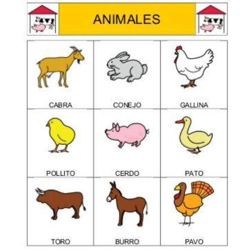 Tarjeta 6